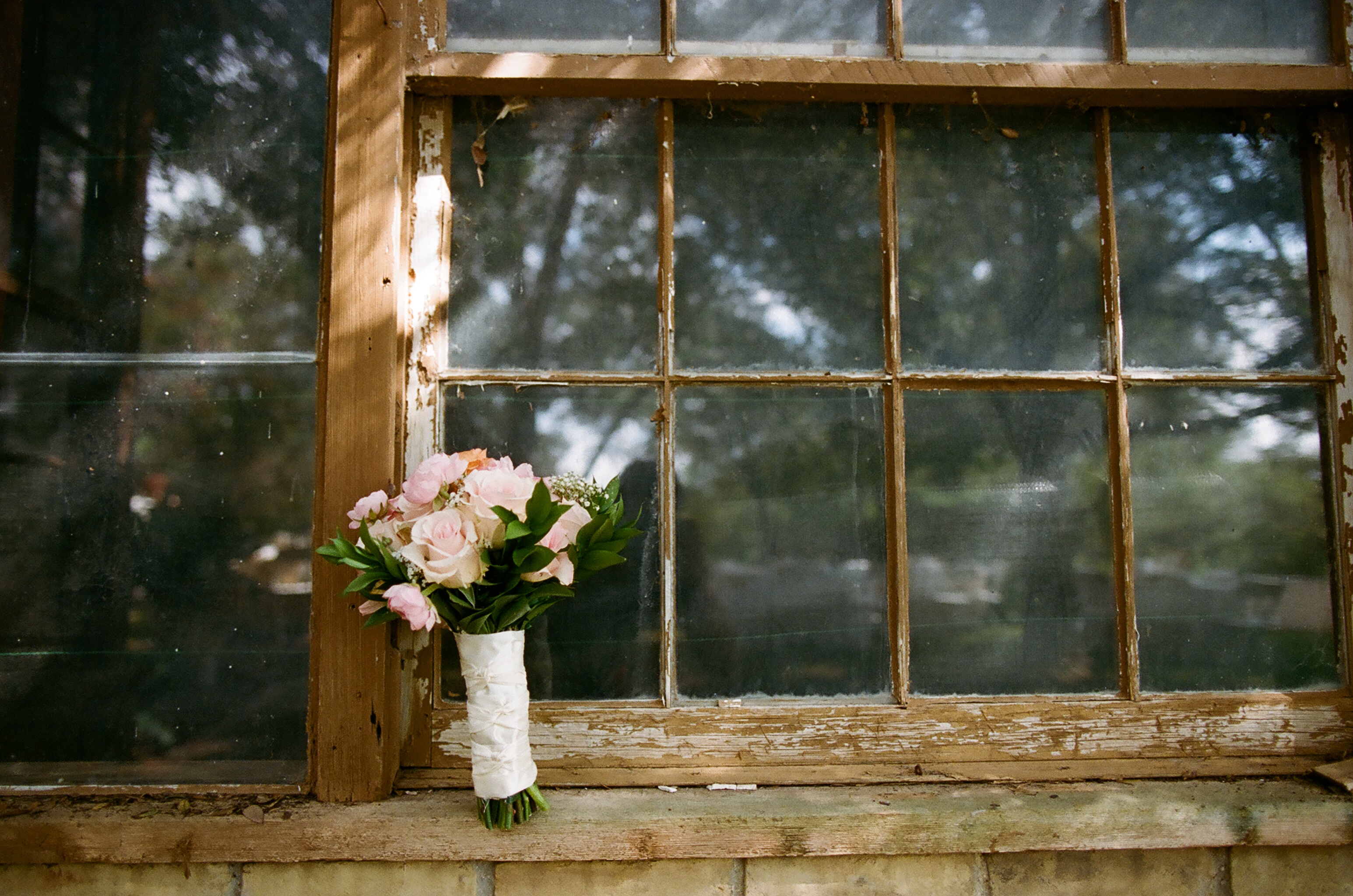 laurentroyfilm0005